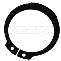 SEGMAN(CARRARO) - TT 23134