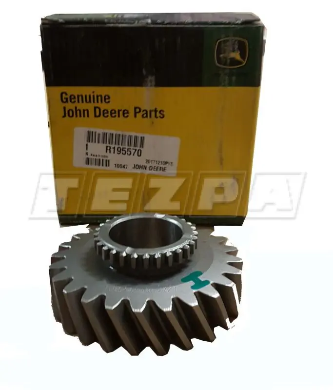 YAVRU ŞANZIMAN DİŞLİSİ - TT 23292