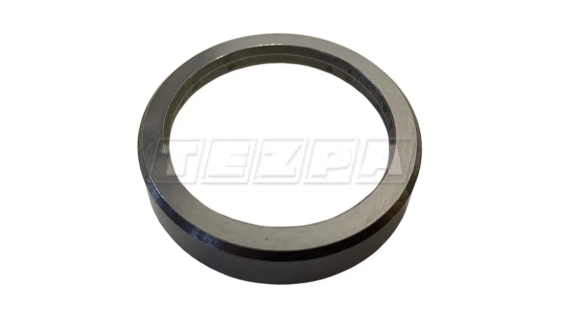 EXH VALVE INSERT - TV 751902