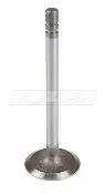 EGZOST SUPAP STD. - TE 102280