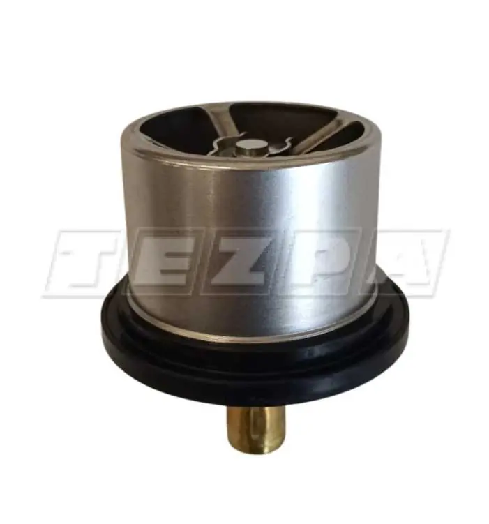 TERMOSTAT - TE 113204